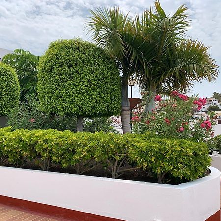 Ocean Breeze And Seaview Resort アデヘ エクステリア 写真